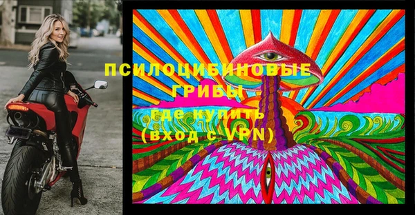 дмт Протвино