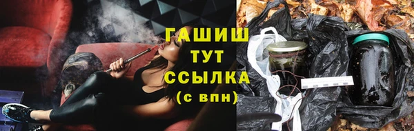 дмт Протвино