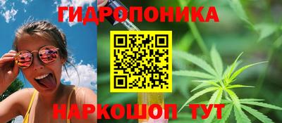 марихуана Аргун