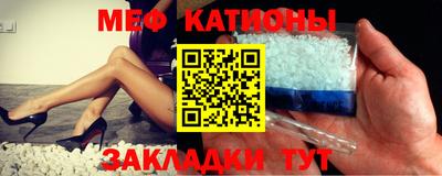 сатива Аргун