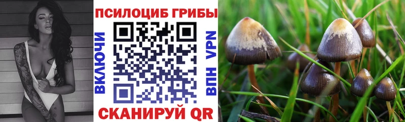 Псилоцибиновые грибы GOLDEN TEACHER  OMG зеркало  Балабаново 